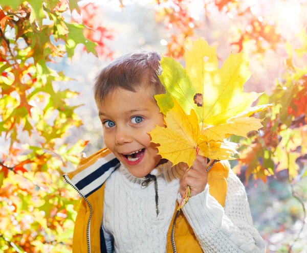 Carino ragazzo con foglie d'autunno — Foto Stock