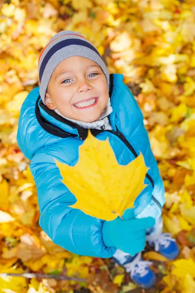 Sød dreng med efterårsblade - Stock-foto