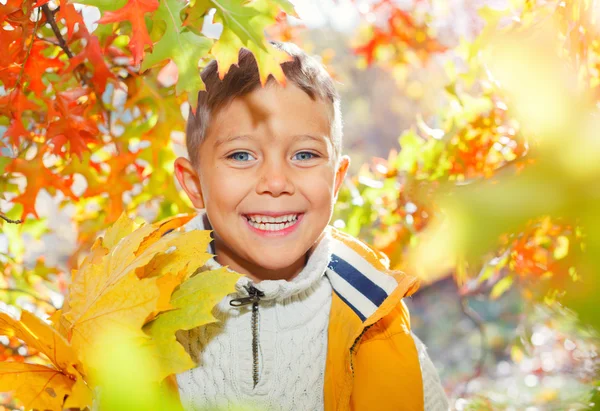 Carino ragazzo con foglie d'autunno — Foto Stock