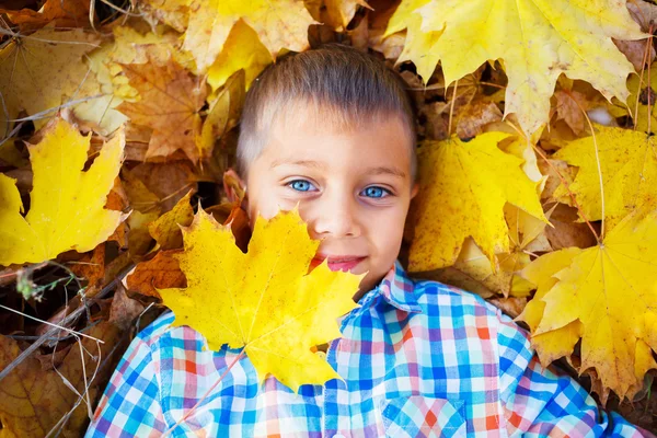 Menino bonito no parque de outono — Fotografia de Stock