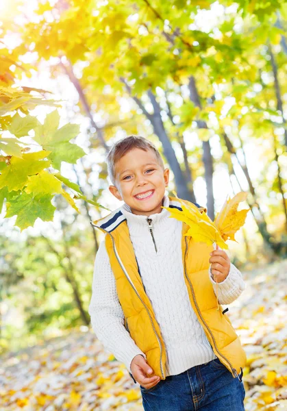 Симпатичный мальчик с осенними листьями — стоковое фото