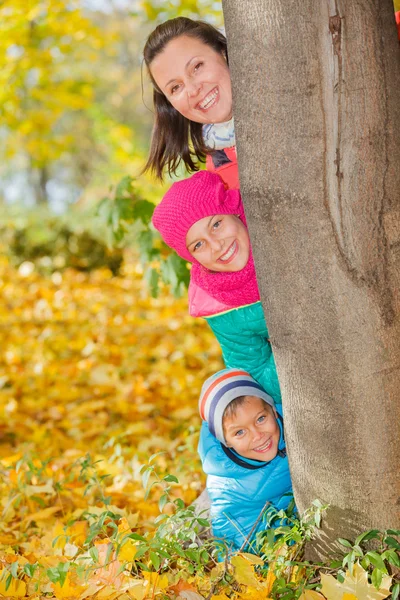 Familie entspannt im Park — Stockfoto