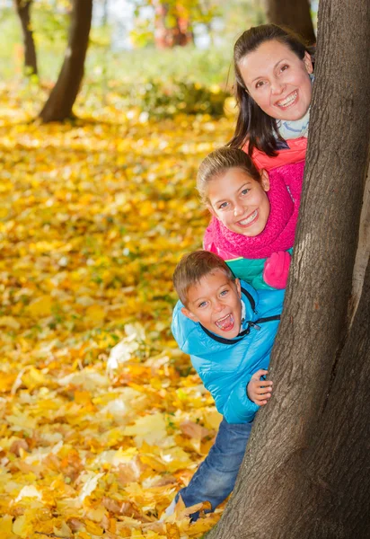 Familie entspannt im Park — Stockfoto