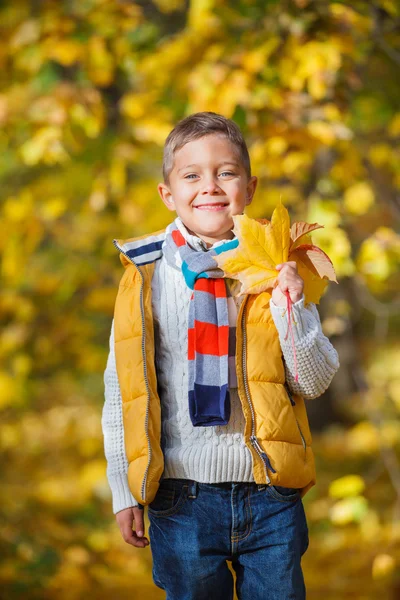 Garçon mignon avec des feuilles d'automne — Photo