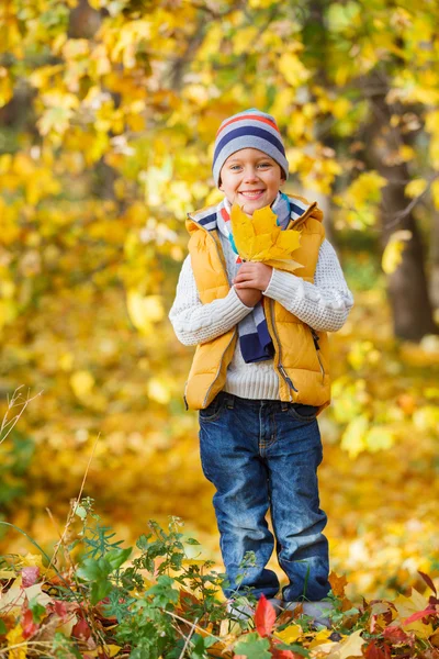 Lindo chico con hojas de otoño —  Fotos de Stock