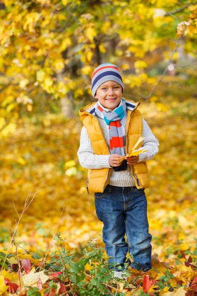 Aranyos fiú őszi levelek — Stock Fotó