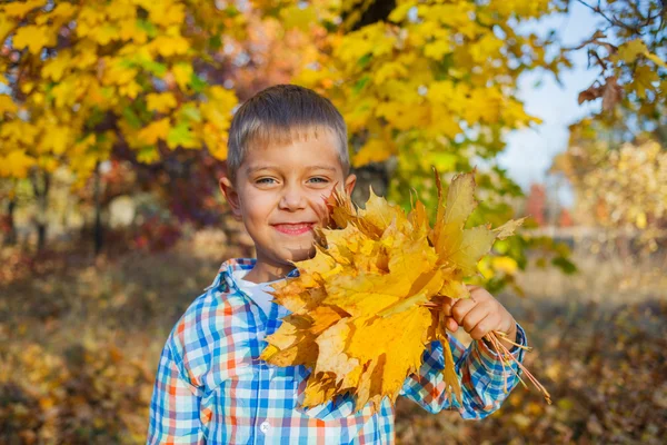 Cute boy with autumn leaves — Stock Photo, Image