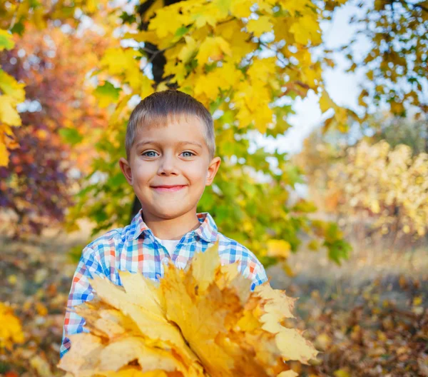 Симпатичный мальчик с осенними листьями — стоковое фото