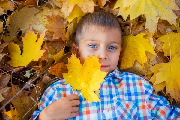 Schattige jongen in herfst park — Stockfoto