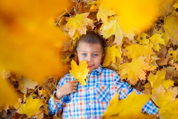 Menino bonito no parque de outono — Fotografia de Stock