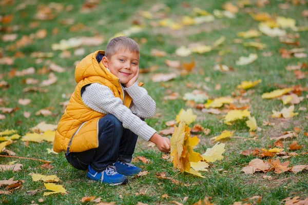 Carino ragazzo con foglie d'autunno — Foto Stock