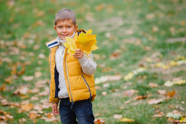 Schattige jongen met najaar bladeren — Stockfoto