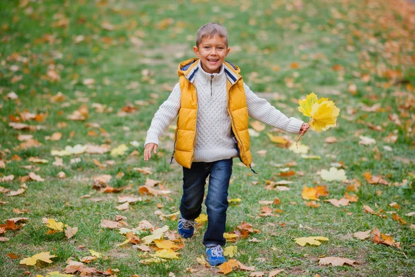 Lindo chico con hojas de otoño —  Fotos de Stock