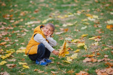 Sonbahar yaprakları ile sevimli çocuk