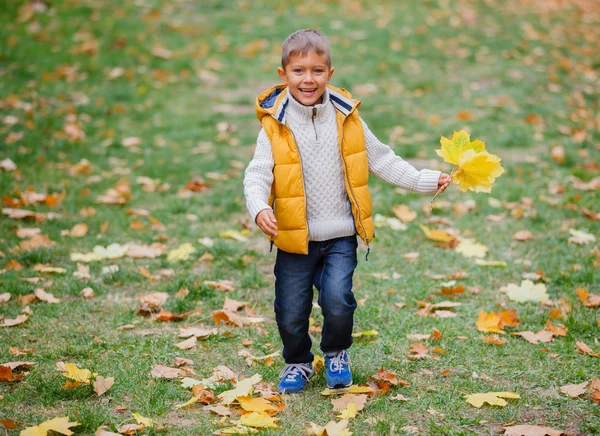 Rapaz bonito com folhas de outono — Fotografia de Stock