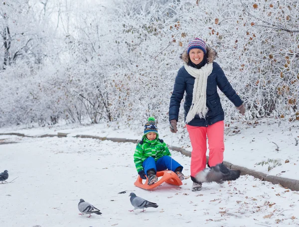 Family having fun with sled in winter park — Stock Photo, Image