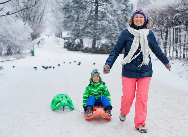 Семья веселится с санями в зимнем парке — стоковое фото