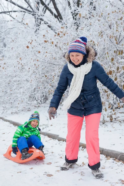 Familie vergnügt sich mit Schlitten im Winterpark — Stockfoto