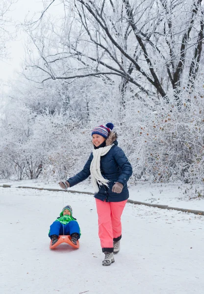 Familie plezier met slee in winter park — Stockfoto