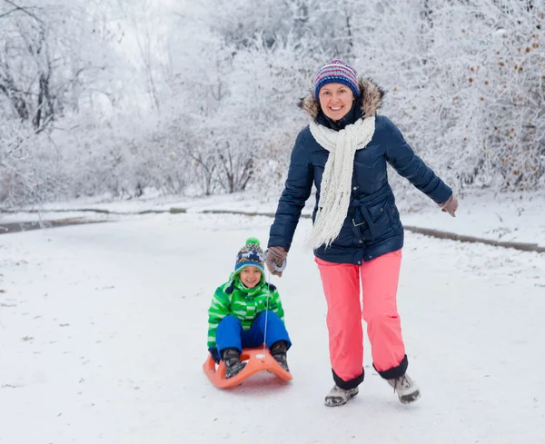 Family having fun with sled in winter park — Stock Photo, Image