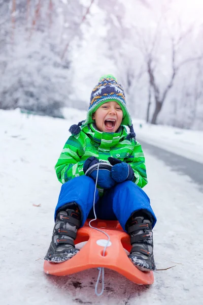 Niño divirtiéndose con trineo en el parque de invierno —  Fotos de Stock