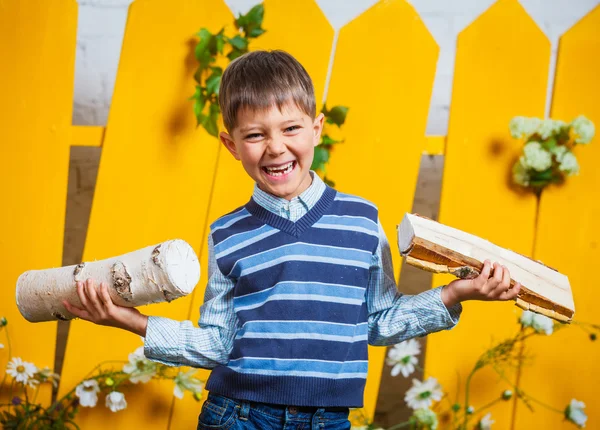 Ragazzo con mucchio di legna da ardere — Foto Stock