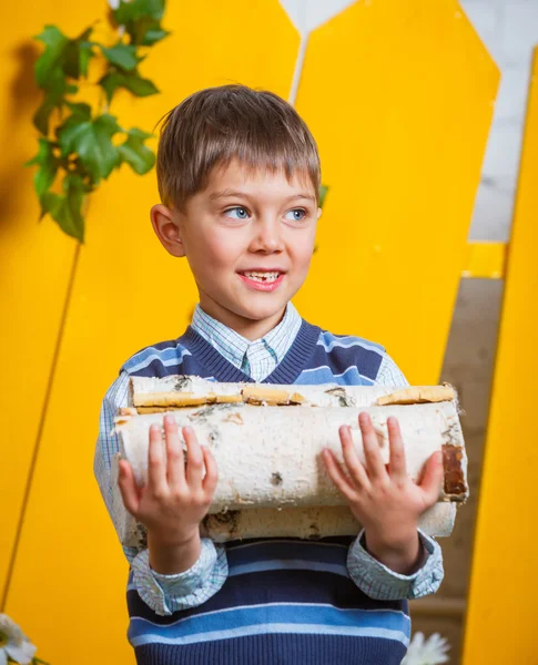 Jongen met stapel brandhout — Stockfoto