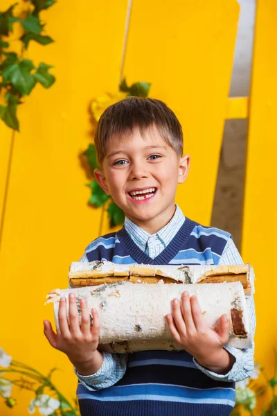 Junge mit Haufen Brennholz — Stockfoto