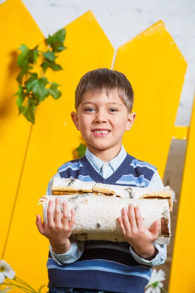 Chłopiec z kupie Drewno kominkowe — Zdjęcie stockowe