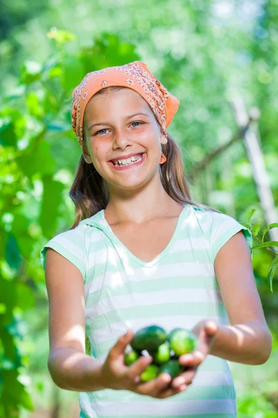 Menina com pepinos — Fotografia de Stock