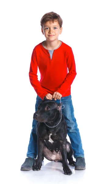 Ragazzo con il suo Pit Bull Terrier — Foto Stock