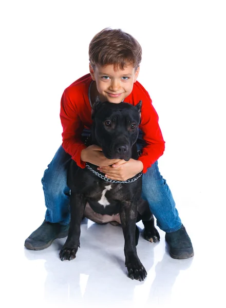 Junge mit seinem Pitbull Terrier — Stockfoto