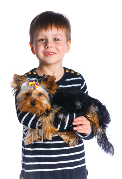 男孩与他的约克夏犬 — 图库照片
