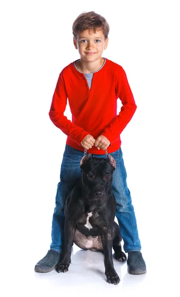 Ragazzo con il suo Pit Bull Terrier — Foto Stock