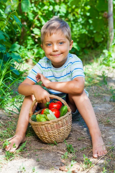 Menino com cesta de legumes — Fotografia de Stock