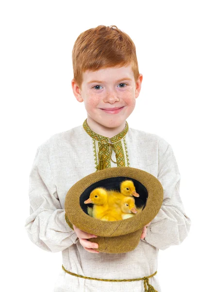 Boy and ducklings — Stock Photo, Image