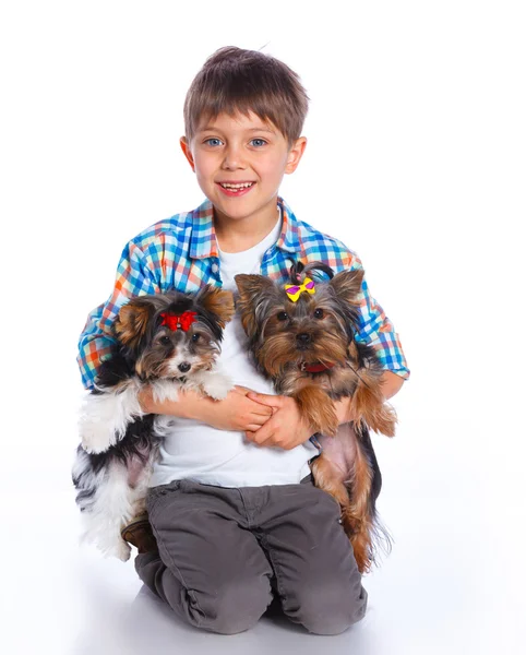 Junge mit seinem yorkshire terrier — Stockfoto