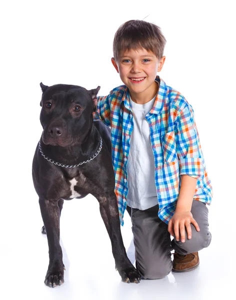 Boy with his Pit Bull Terrier — Stock Photo, Image