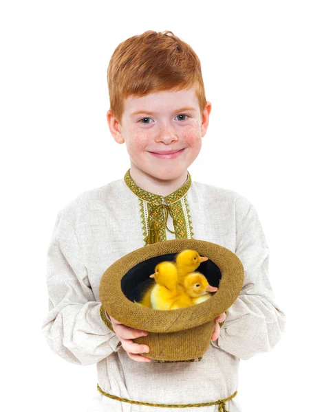 Boy and ducklings — Stock Photo, Image