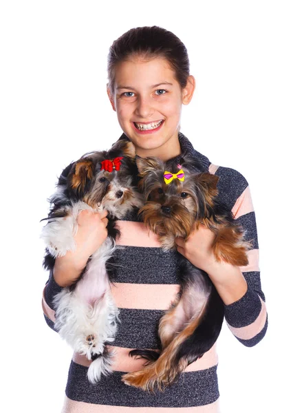 Menina com yorkshire terrier — Fotografia de Stock