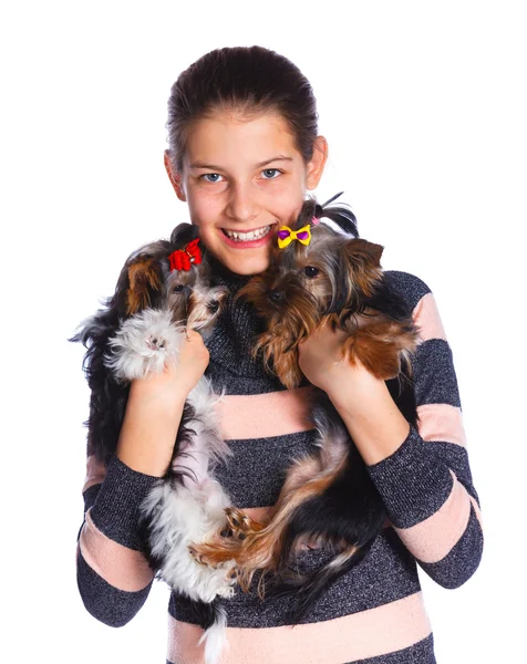 Lány a yorkshire terrier — Stock Fotó