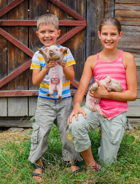 Kids with piglet — Stock Photo, Image