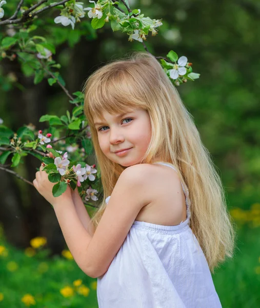 Girl in blooming apple tree garden — Stock Photo, Image