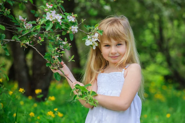 Menina em flor macieira jardim — Fotografia de Stock