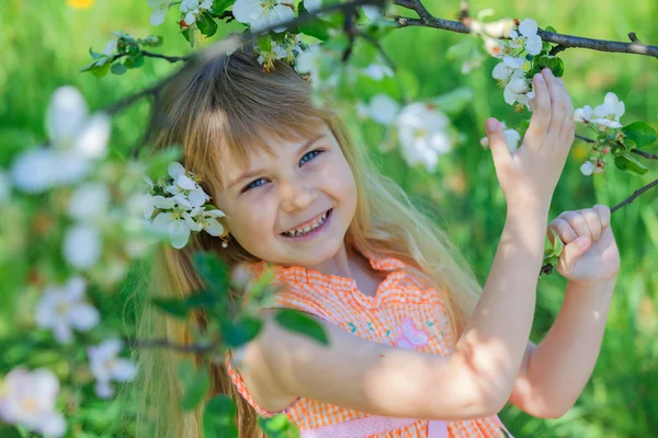 Virágzó Alma fa kert lány — Stock Fotó