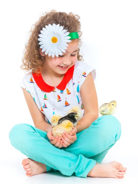 Girl holding baby chickens — Stock Photo, Image