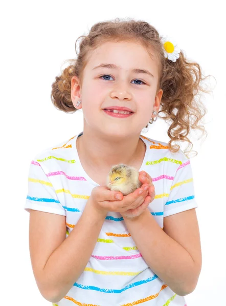 Girl holding baby chicken Stock Picture