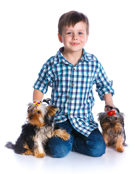 Junge mit seinem yorkshire terrier — Stockfoto