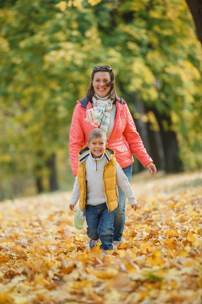 Menino adorável com sua mãe no parque de outono — Fotografia de Stock