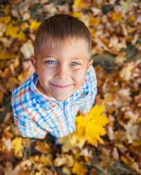 Entzückender Junge im Herbstpark — Stockfoto